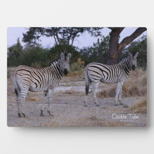 Zebra Double Take Photo Plaque