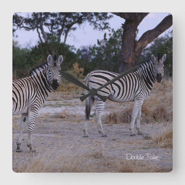 Zebra Double Take Photo Square Wall Clock (Front)