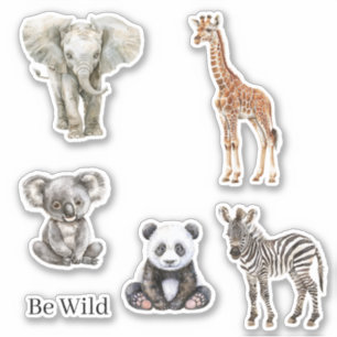 Zebra Elephant Koala Giraffe Safari Panda Animals