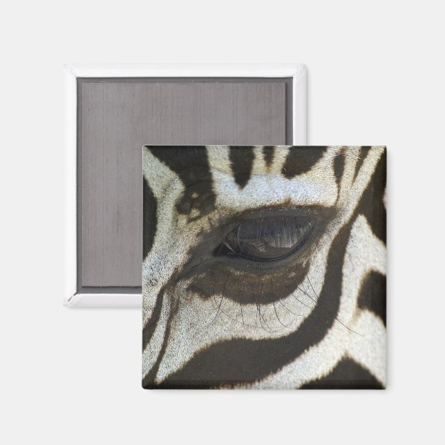 Zebra Eye Magnet (Front/Back)