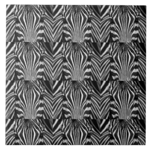 ZEBRA FACE CERAMIC TILE