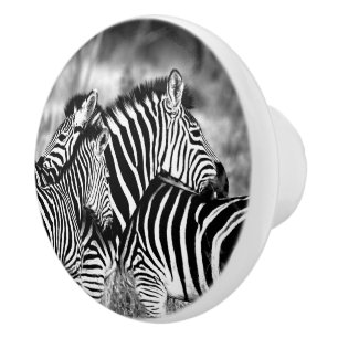 ZEBRA Family Awesome Wildlife Ceramic Knob