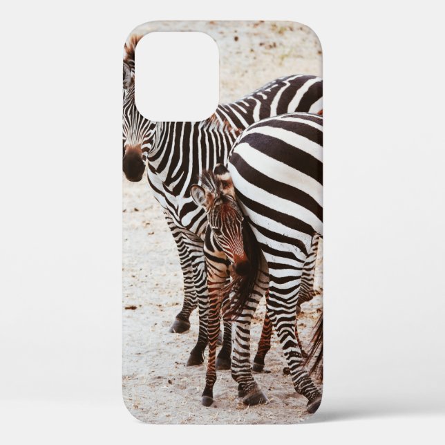 ZEBRA FAMILY Case-Mate iPhone CASE (Back)