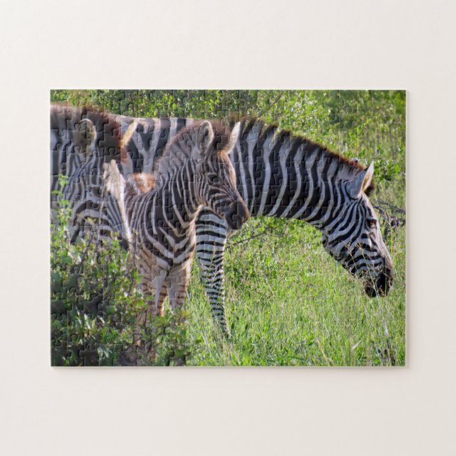 zebra family jigsaw puzzle (Horizontal)