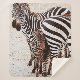 ZEBRA FAMILY SHERPA BLANKET