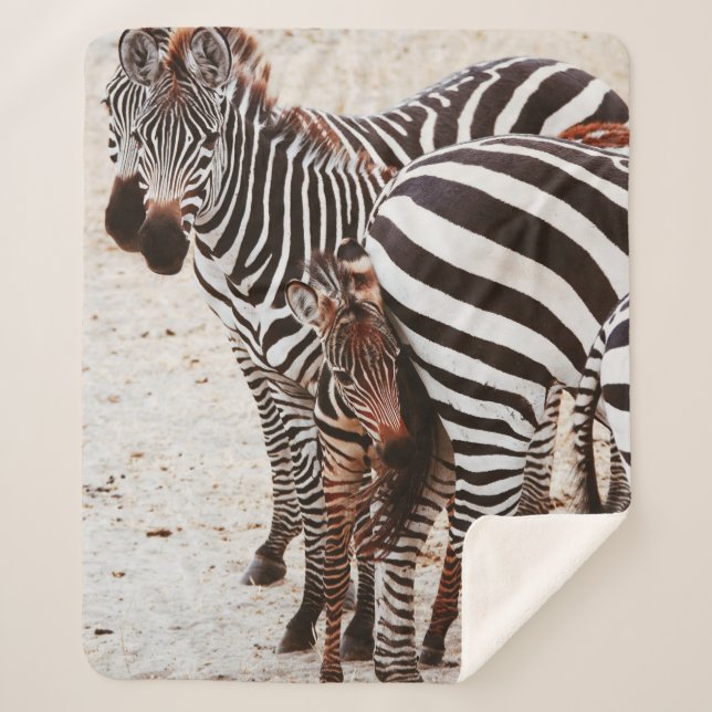 ZEBRA FAMILY SHERPA BLANKET (Front)