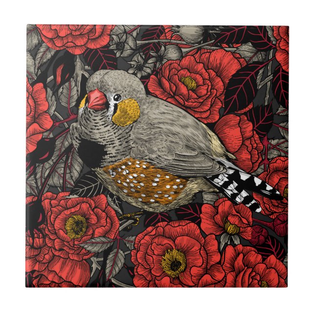 Zebra finch and red rose bush ceramic tile (Front)