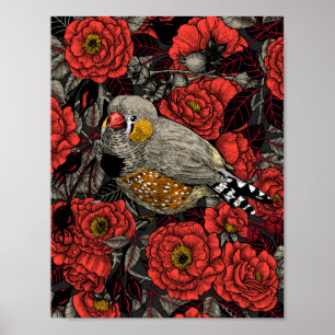 Zebra finch and red rose bush poster