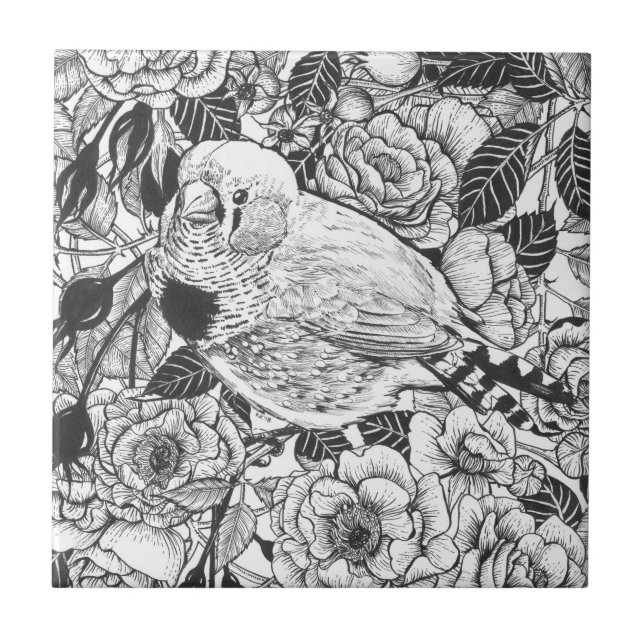 Zebra finch and rose bush ink drawing ceramic tile (Front)