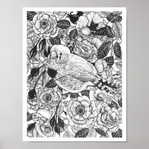 Zebra finch and rose bush ink drawing poster