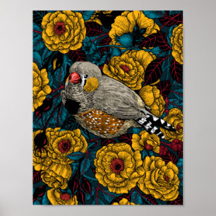 Zebra finch and rose bush poster