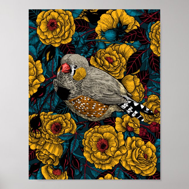Zebra finch and rose bush poster (Front)