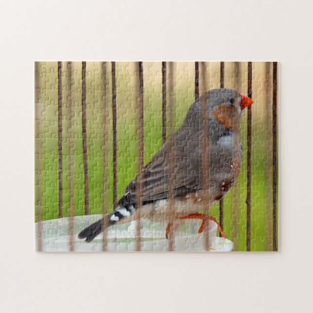 Zebra Finch Bird in Cage Jigsaw Puzzle (Horizontal)