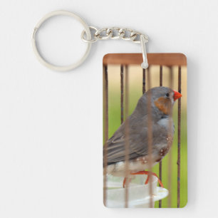 Zebra Finch Bird in Cage Key Ring