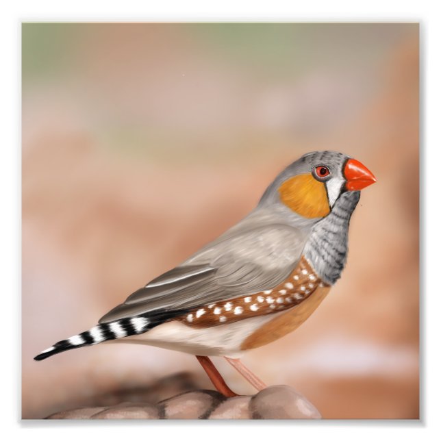Zebra Finch Bird Nature Wall Art (Front)