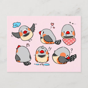 Zebra finch cute cartoon pink chequered pattern postcard