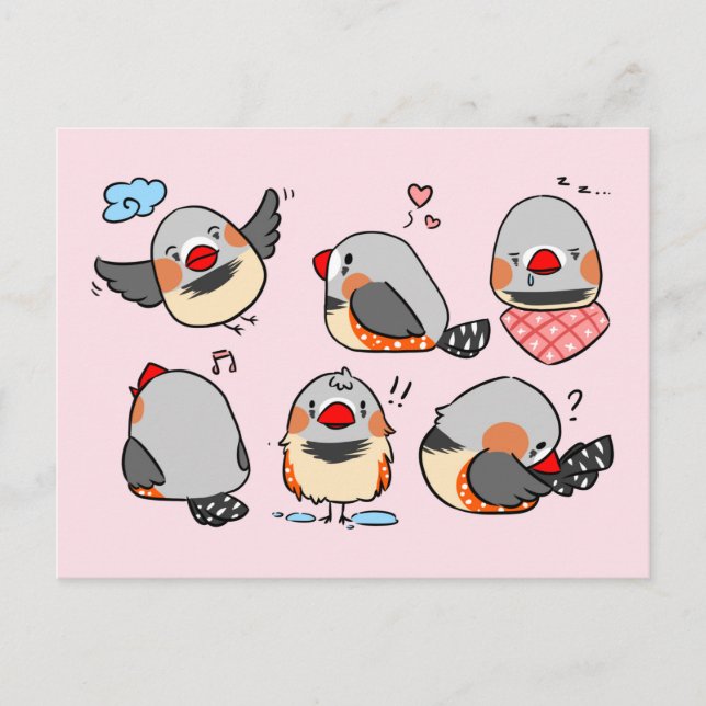 Zebra finch cute cartoon pink chequered pattern postcard (Front)