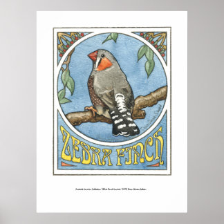 Zebra Finch Nouveau Poster