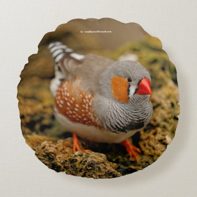 Zebra Finch on the Rocks Round Cushion (Front)