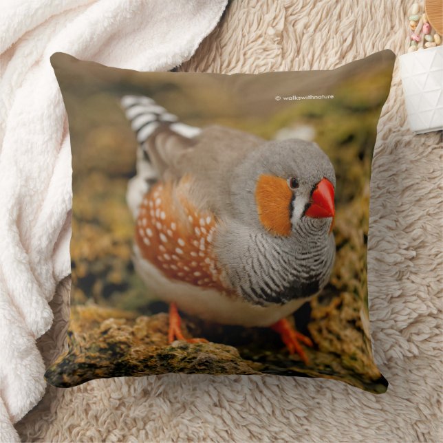 Zebra Finch Songbird on the Rocks Cushion (Blanket)