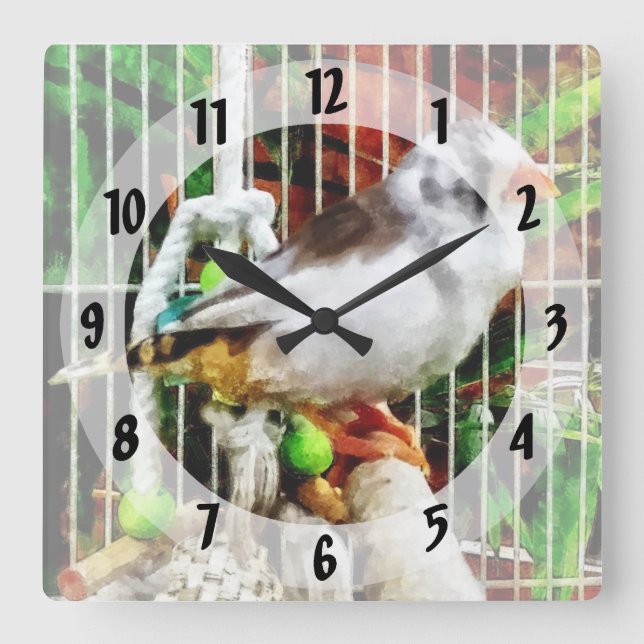 Zebra Finch Square Wall Clock (Front)