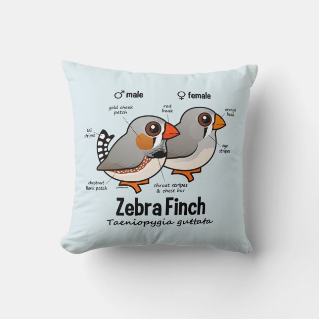 Zebra Finch Statistics Cushion (Front)