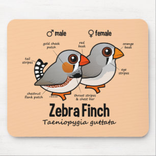 Zebra Finch Statistics Mouse Pad