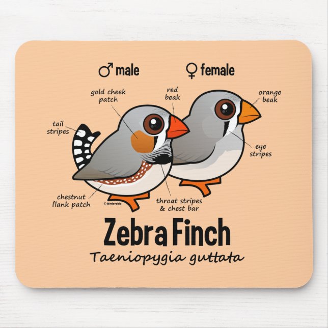 Zebra Finch Statistics Mouse Pad (Front)