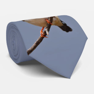 Zebra Finch Tie Double Sided