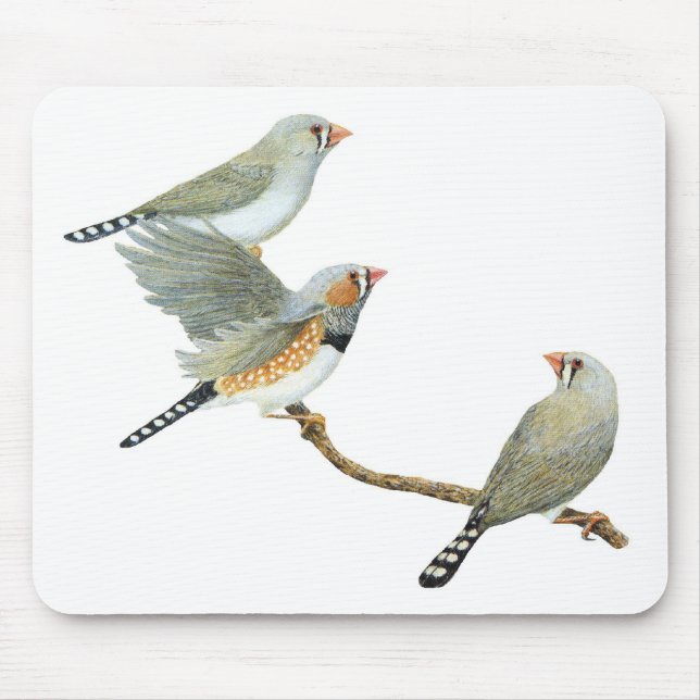 Zebra Finch Trio - Taeniopygia guttata Mouse Pad (Front)