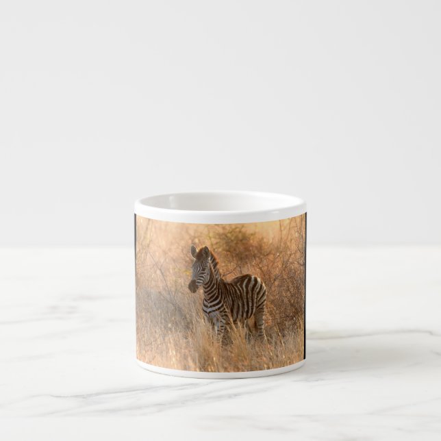 Zebra foal in morning light espresso cup (Front)