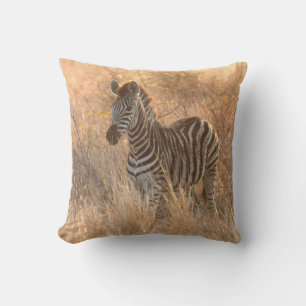 Zebra foal in morning sunrise photo cushion