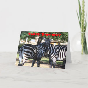 Zebra Friends Birthday Card