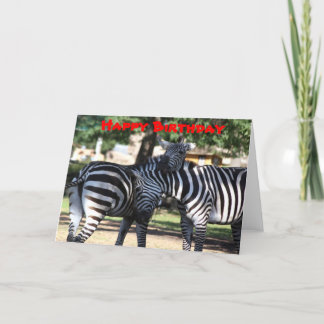 Zebra Friends Birthday Card