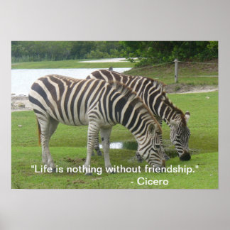 Zebra Friendship Poster