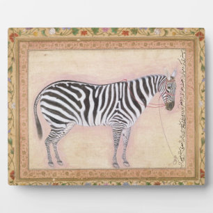 Zebra, from the 'Minto Album', 1621 (gouache on pa Plaque