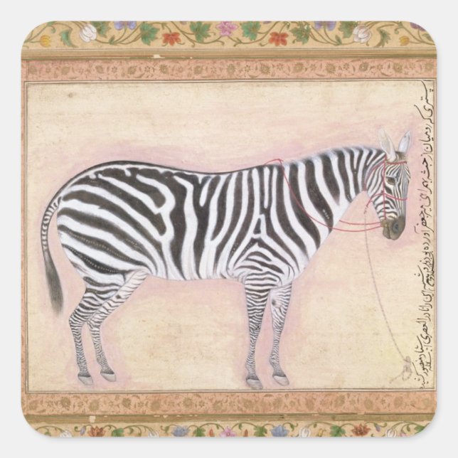 Zebra, from the 'Minto Album', 1621 (gouache on pa Square Sticker (Front)