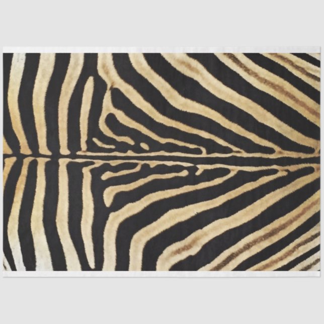Zebra Furniture Decoupage Paper (Front)