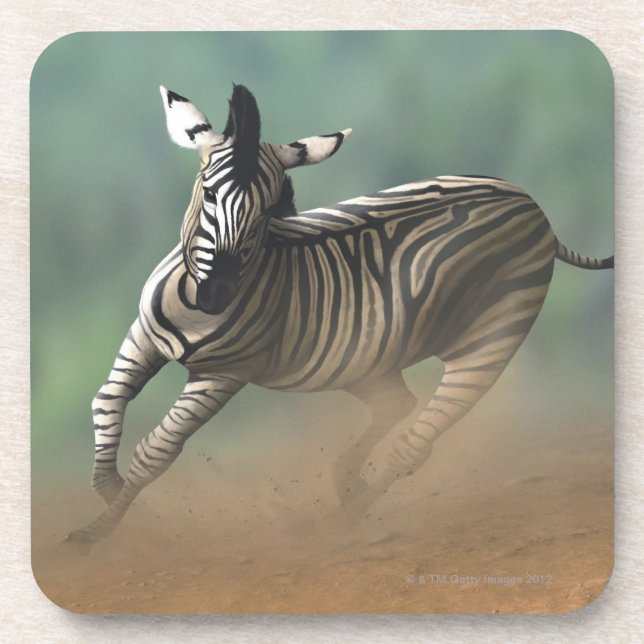 Zebra galloping over the desert landscape. coaster (Front)