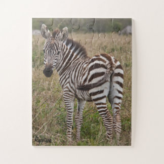 Zebra Glance 30 piece Puzzle