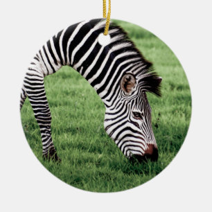 Zebra Grazing Ceramic Ornament