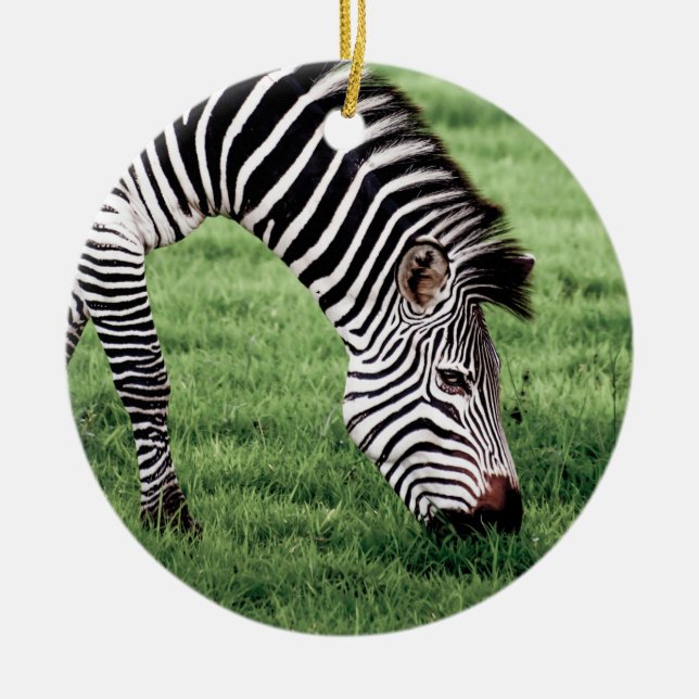 Zebra Grazing Ceramic Ornament (Front)