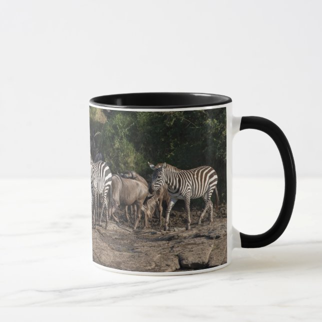Zebra Herd in Natural Setting Black Interior Gift Mug (Right)