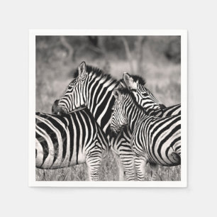 Zebra Herd Nature Safari Black and White Stripes Napkin