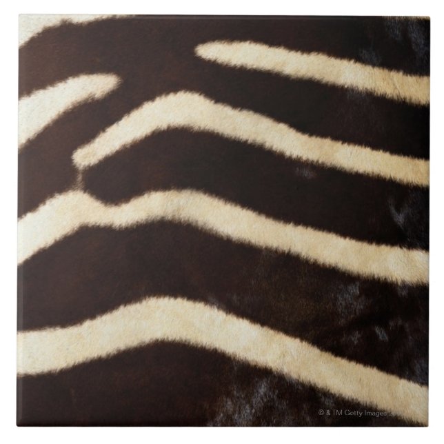 Zebra Hide Ceramic Tile (Front)