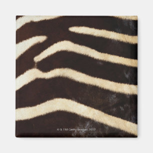 Zebra Hide Magnet