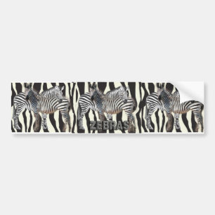 ZEBRA HUG BUMPER STICKER
