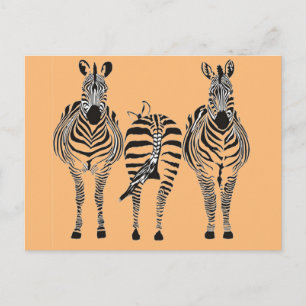 ZEBRA HUMOR POSTCARD