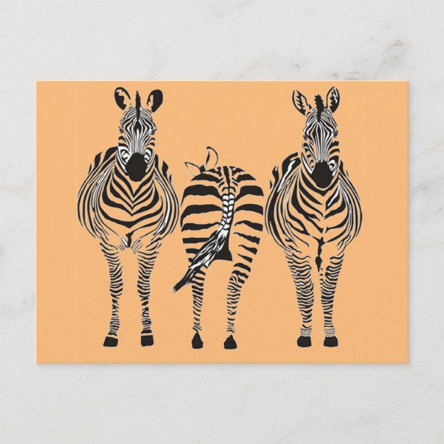 ZEBRA HUMOR POSTCARD (Front)