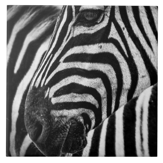Zebra Illusion Ceramic Tile (Front)